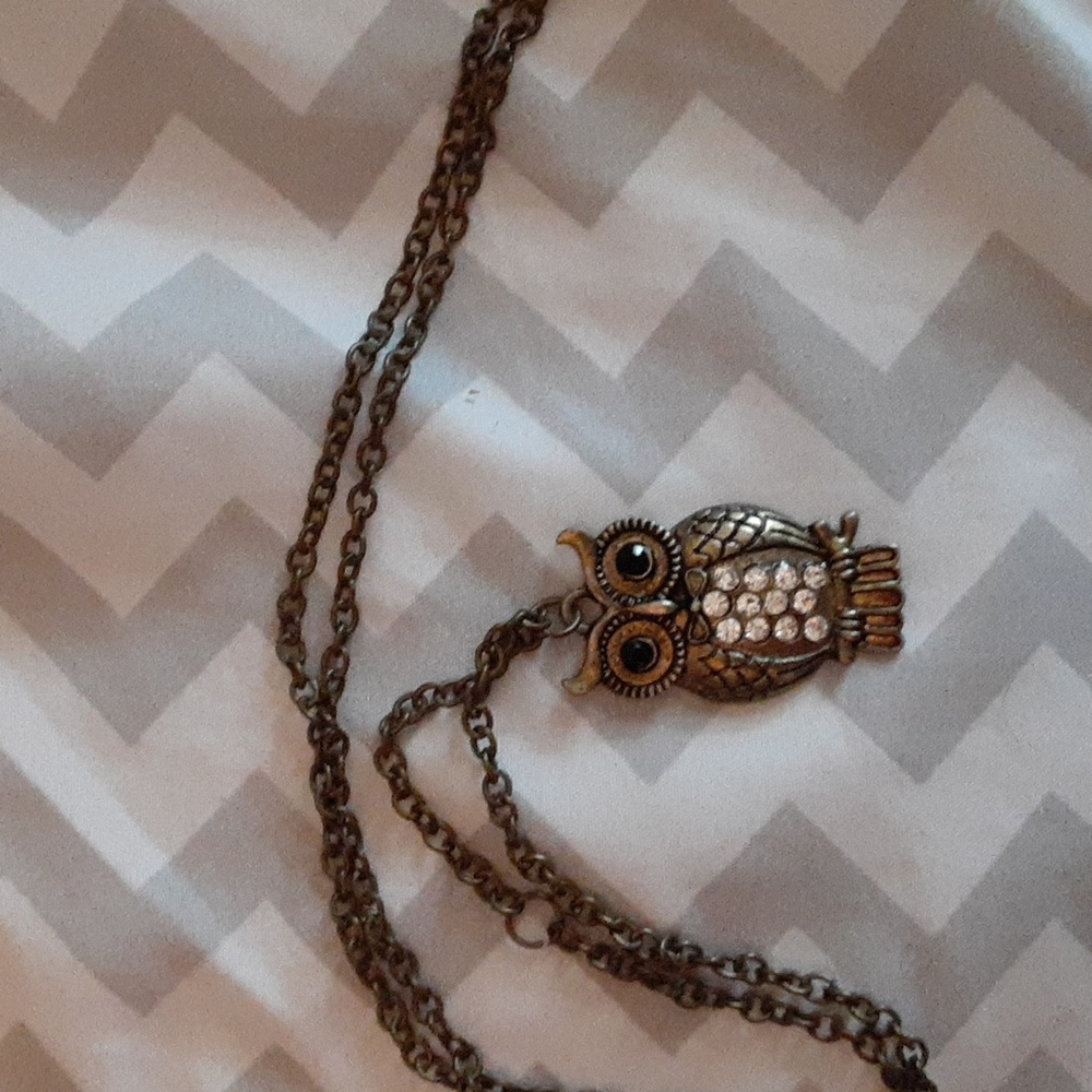 A bronze owl necklace